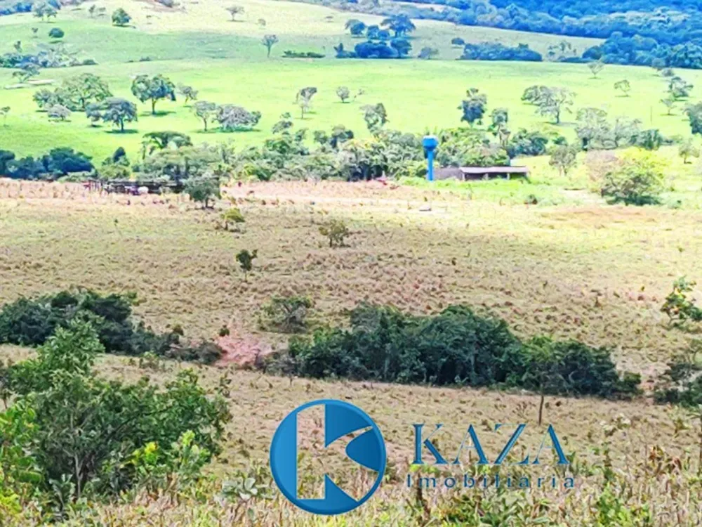 Fazenda, 53 hectares - Foto 3