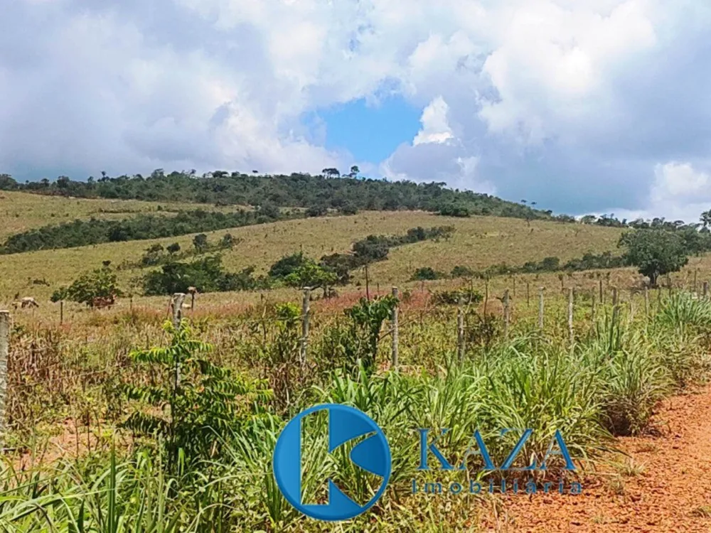 Fazenda, 53 hectares - Foto 2