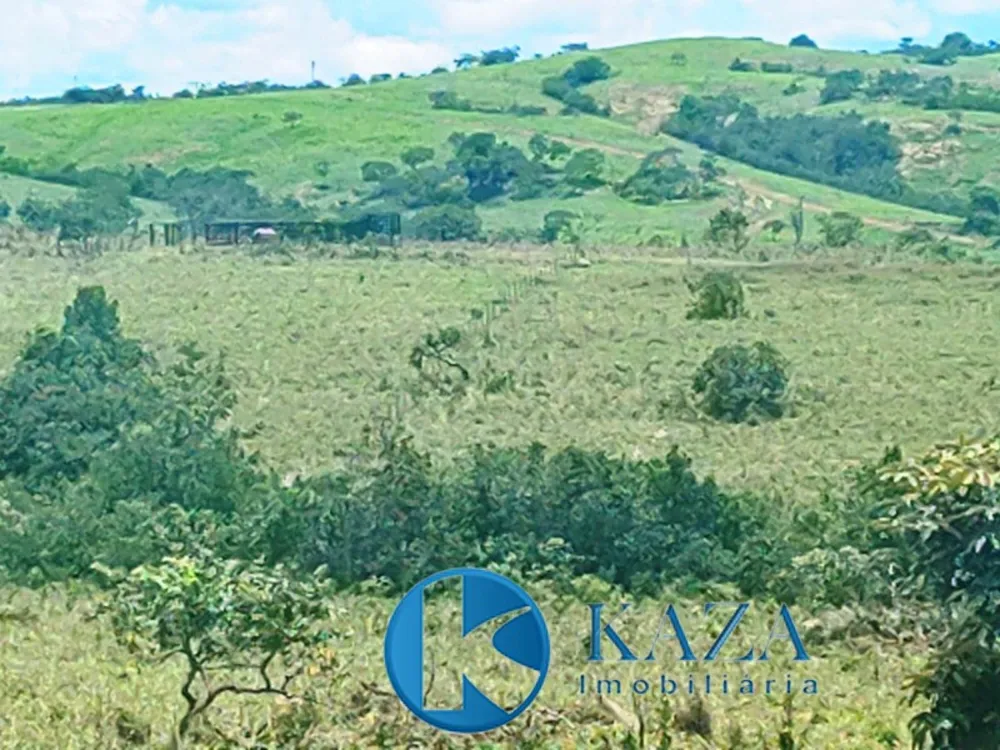 Fazenda, 53 hectares - Foto 9