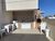 Apartamento, 2 quartos, 65 m² - Foto 17