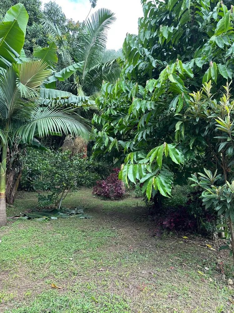 Apartamento, 3 quartos, 56 m² - Foto 9