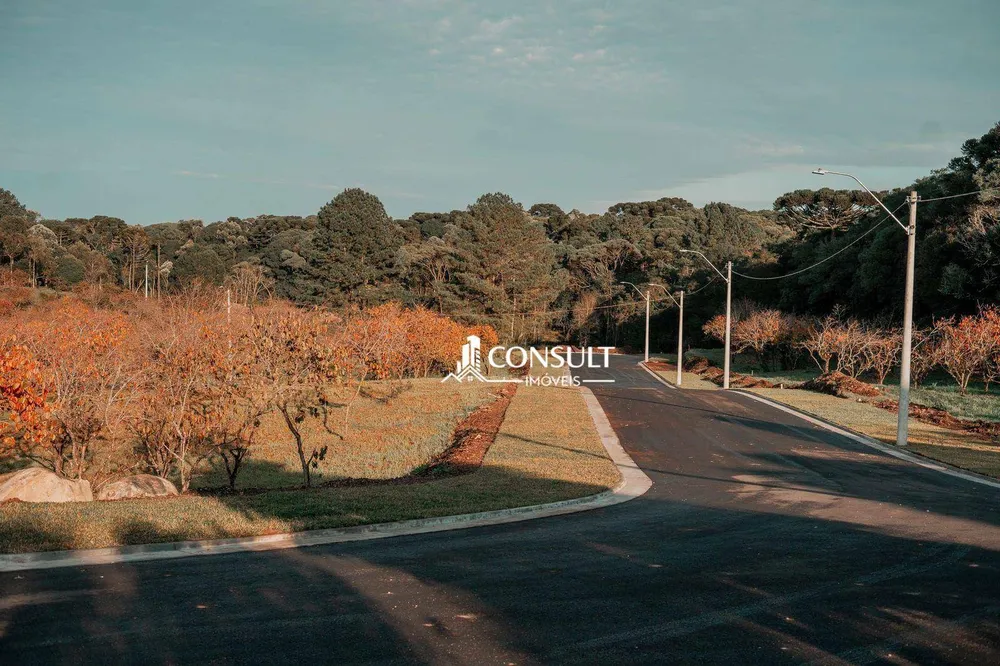 Loteamento e Condomínio, 800 m² - Foto 8