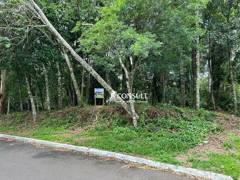 Loteamento e Condomínio, 800 m² - Foto 8