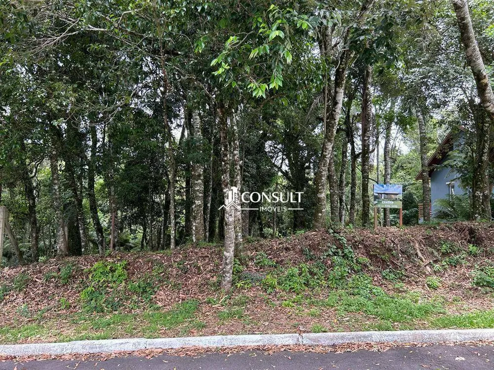 Loteamento e Condomínio, 800 m² - Foto 3