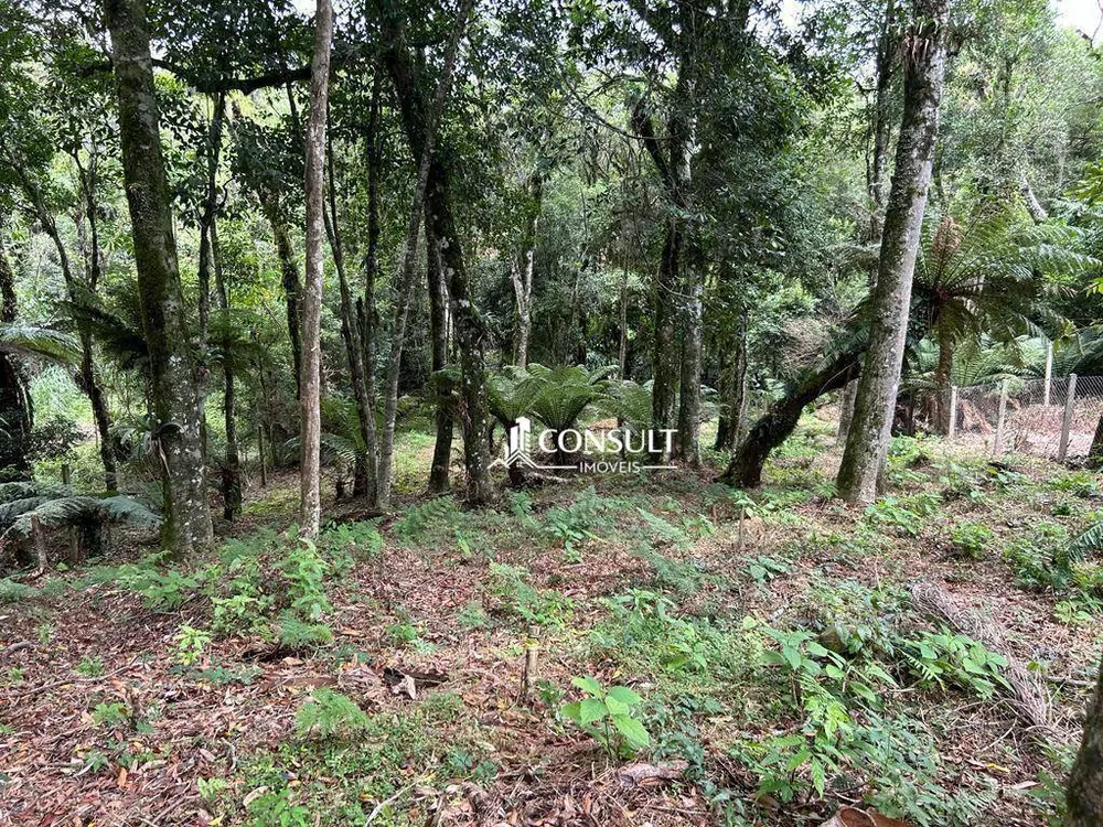 Loteamento e Condomínio, 800 m² - Foto 3