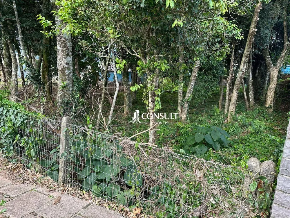 Loteamento e Condomínio, 490 m² - Foto 3