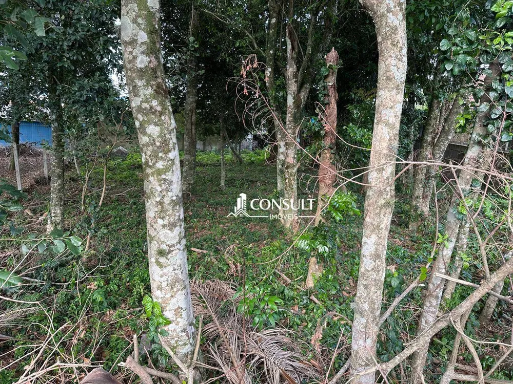 Loteamento e Condomínio, 490 m² - Foto 1