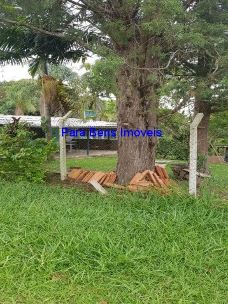 Sítio, 3 quartos, 100 m² - Foto 3