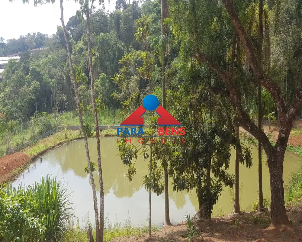 Terreno, 4000 m² - Foto 3