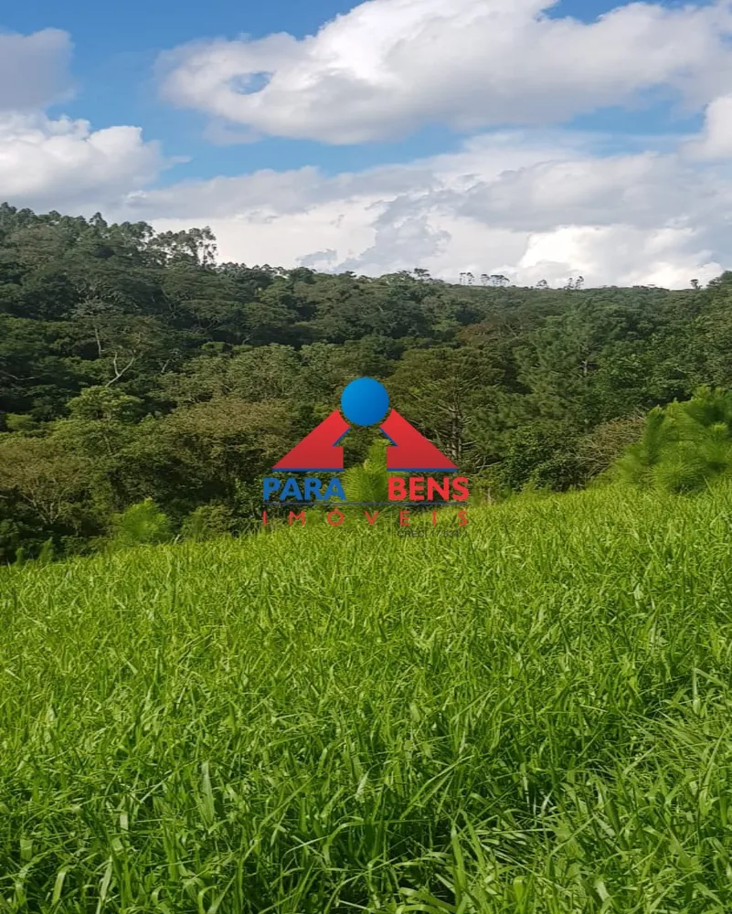 Fazenda, 7 hectares - Foto 4