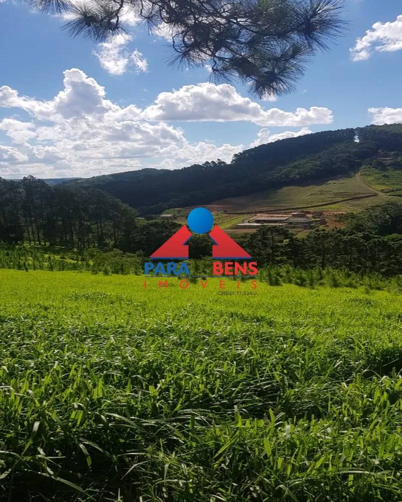 Fazenda, 7 hectares - Foto 3