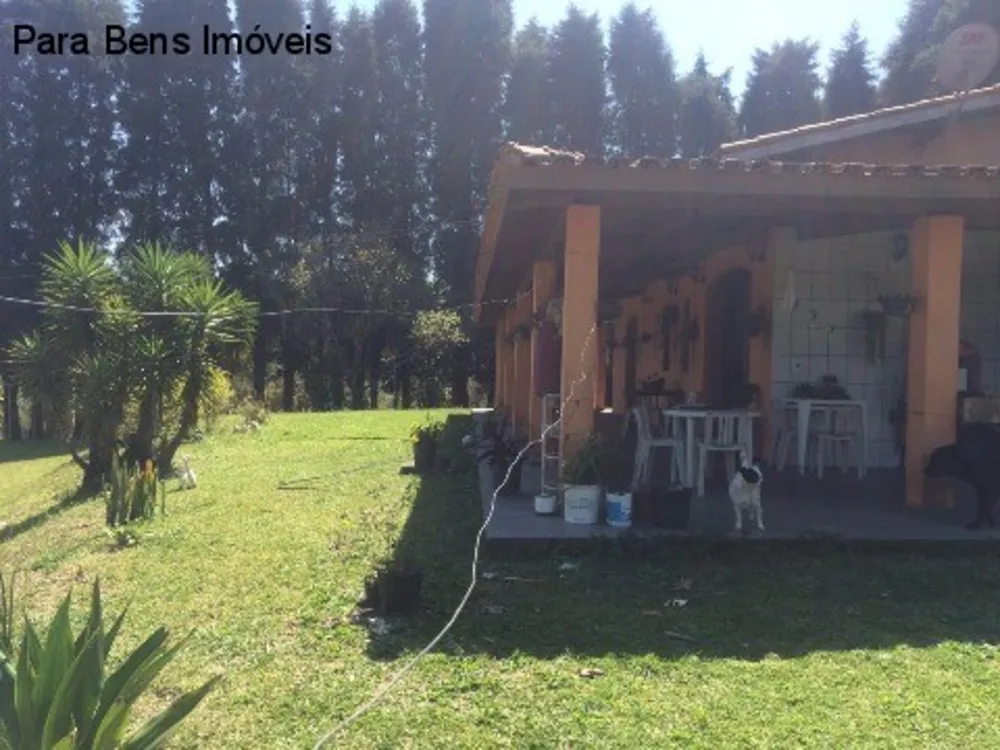 Sítio, 2 quartos, 400 m² - Foto 4