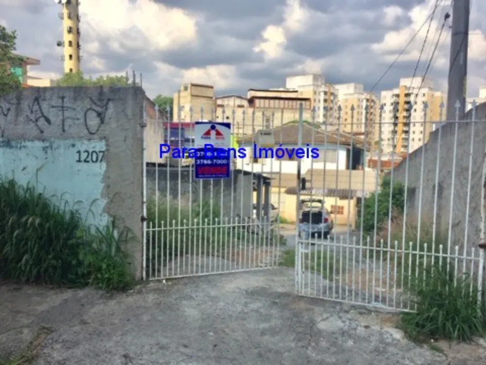 Casa, 3 quartos, 500 m² - Foto 4