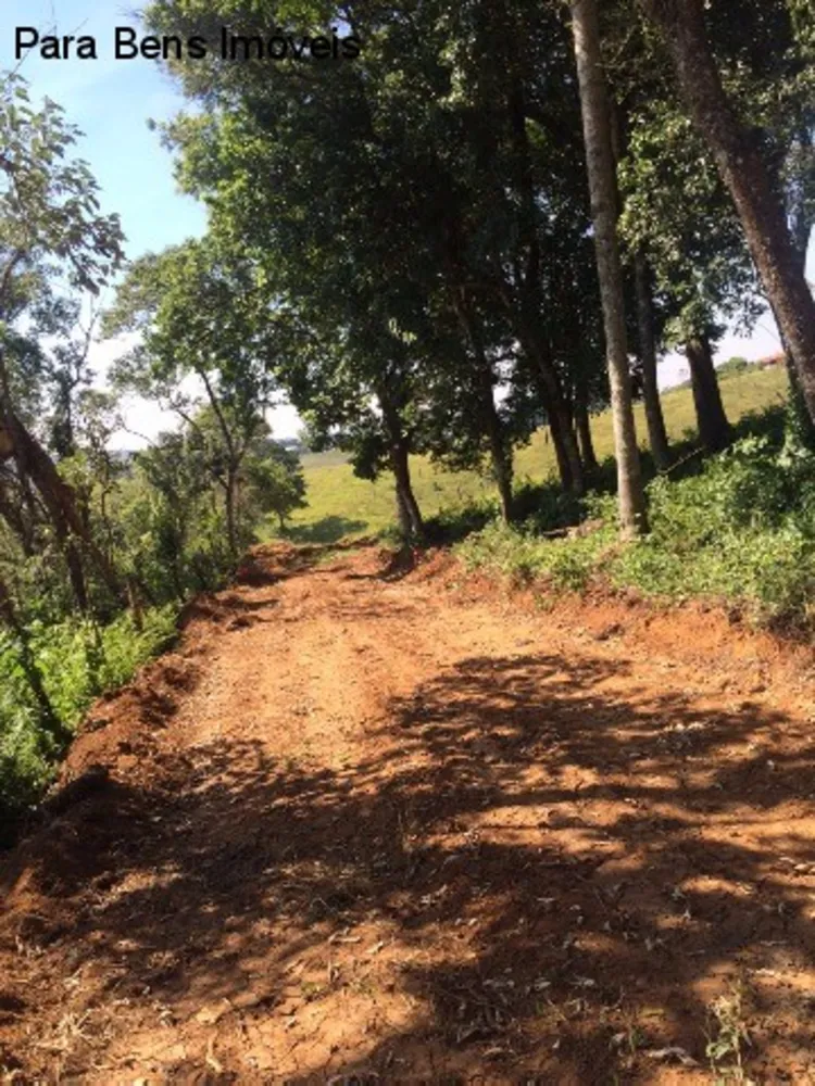 Terreno, 3 hectares - Foto 4