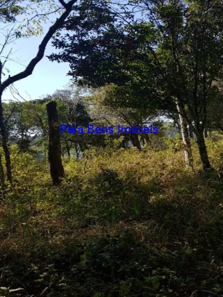 Terreno, 2 hectares - Foto 2