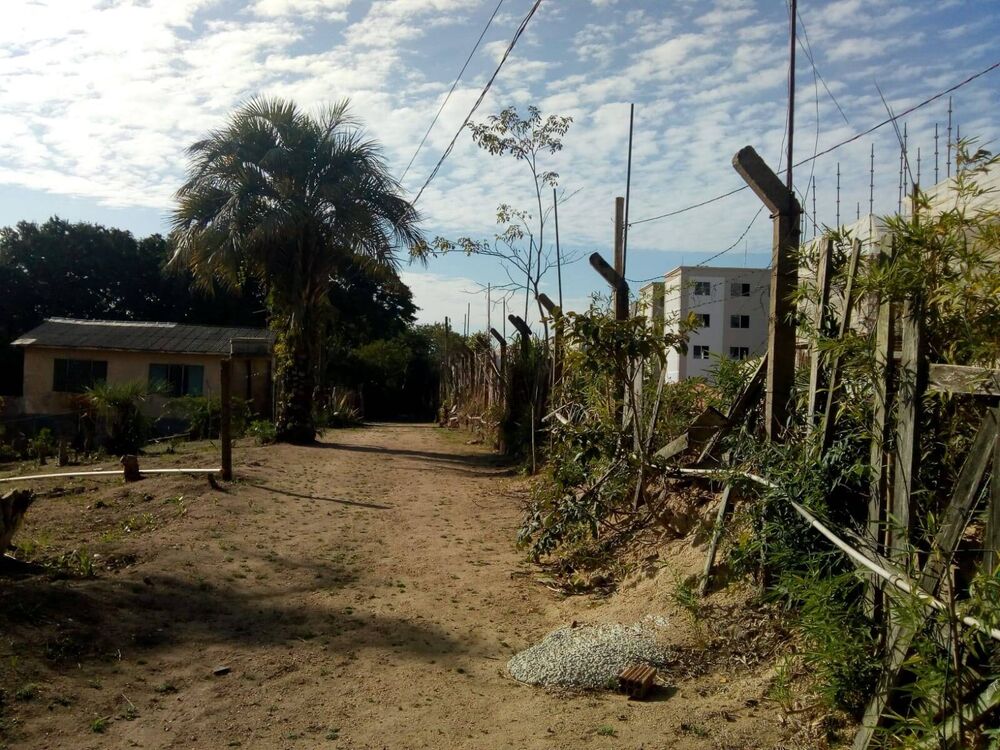 Terreno, 1 hectares - Foto 4