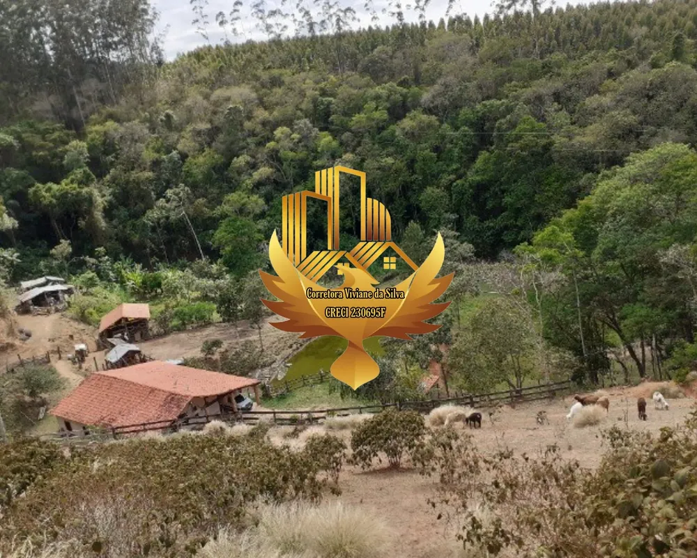 Sítio, 2 quartos, 7 hectares - Foto 4
