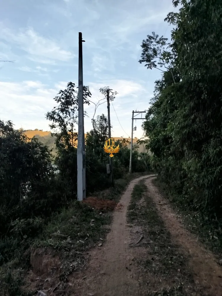 Terreno, 7 hectares - Foto 7