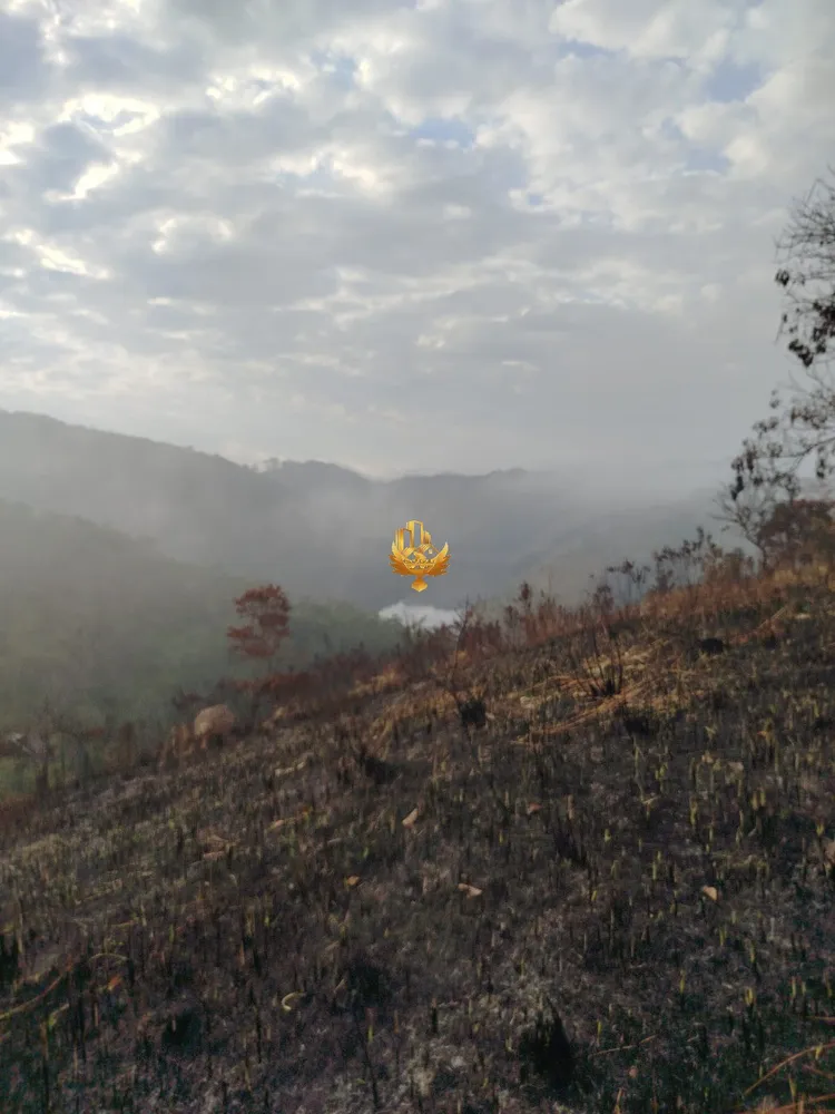 Terreno, 7 hectares - Foto 8