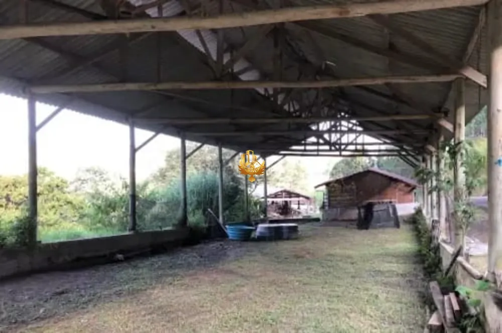 Fazenda, 10 hectares - Foto 7