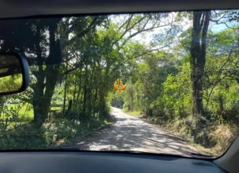 Fazenda, 10 hectares - Foto 12