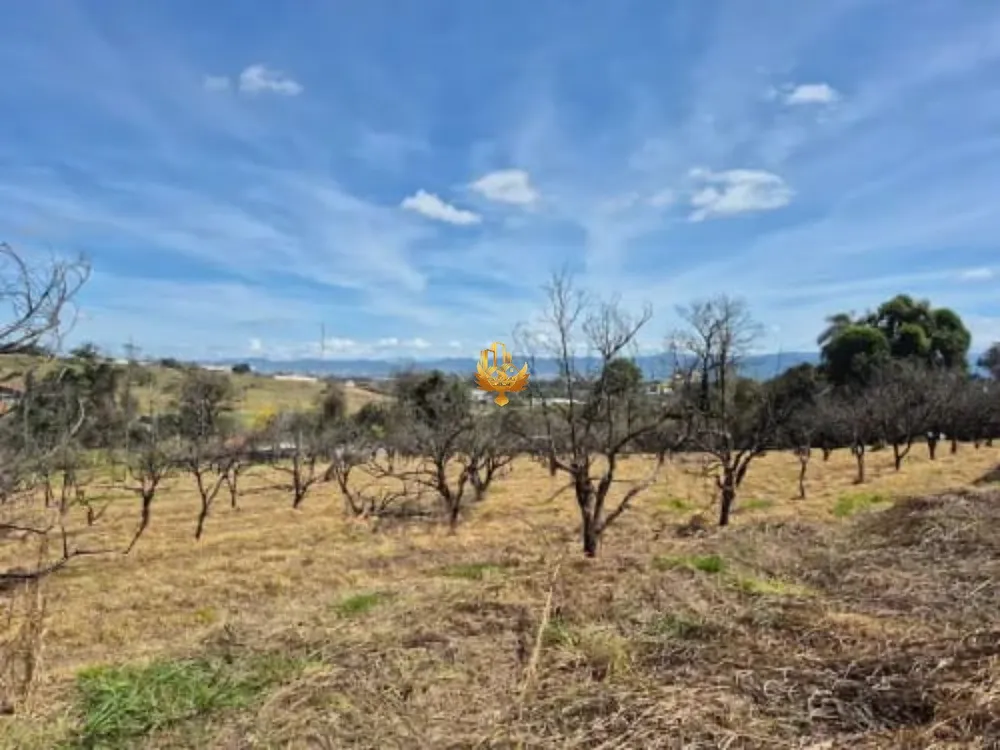 Terreno, 7435 m² - Foto 5