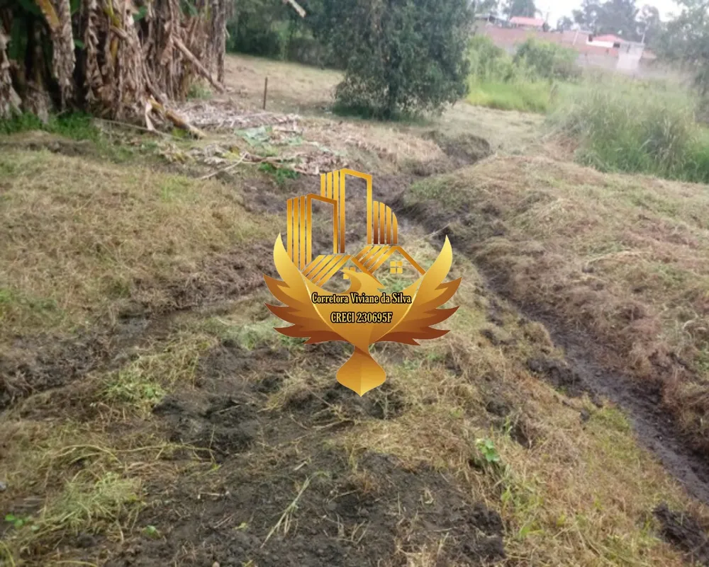 Terreno, 6866 m² - Foto 6
