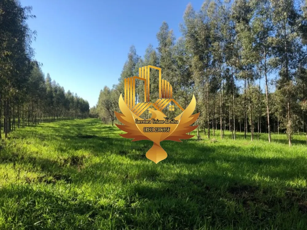 Fazenda, 28 hectares - Foto 6