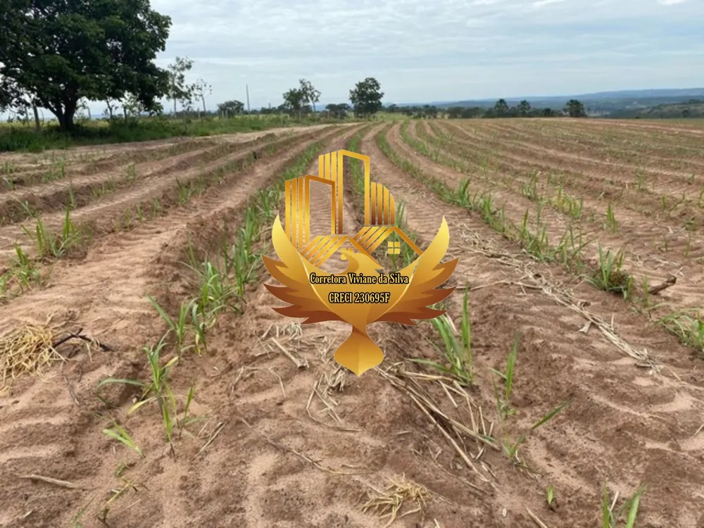 Fazenda, 28 hectares - Foto 1