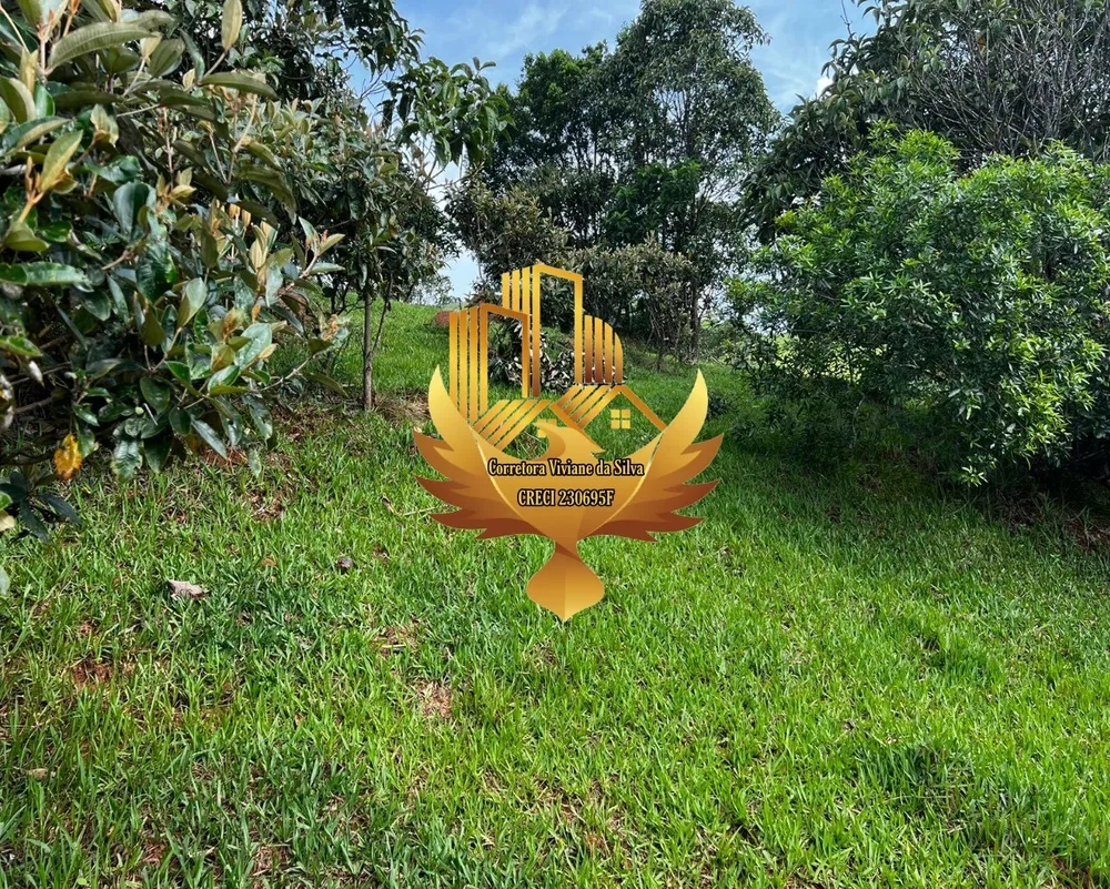 Terreno, 2 hectares - Foto 3