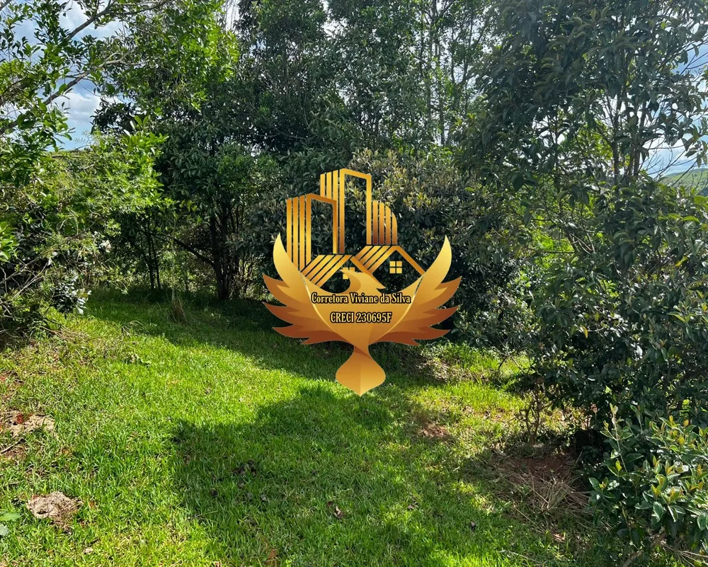 Terreno, 2 hectares - Foto 8