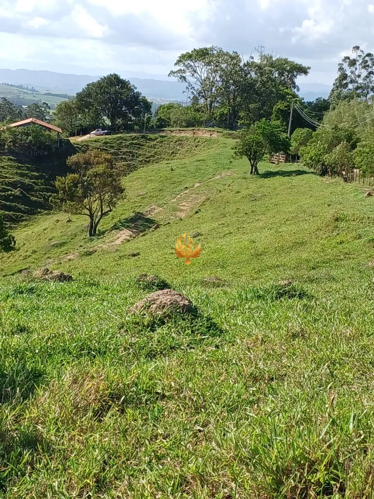 Fazenda, 48 hectares - Foto 8