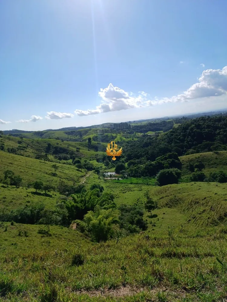 Fazenda, 48 hectares - Foto 7