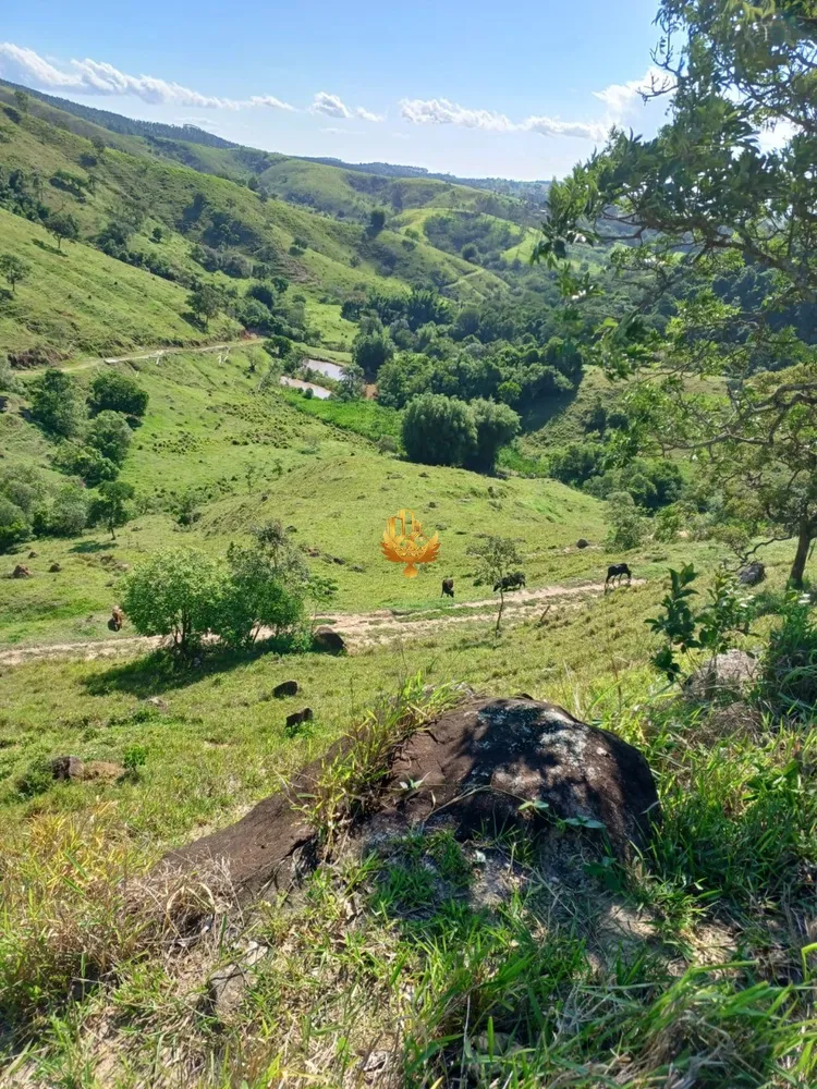 Fazenda, 48 hectares - Foto 2