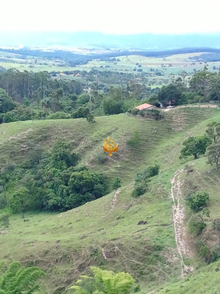 Fazenda, 48 hectares - Foto 4
