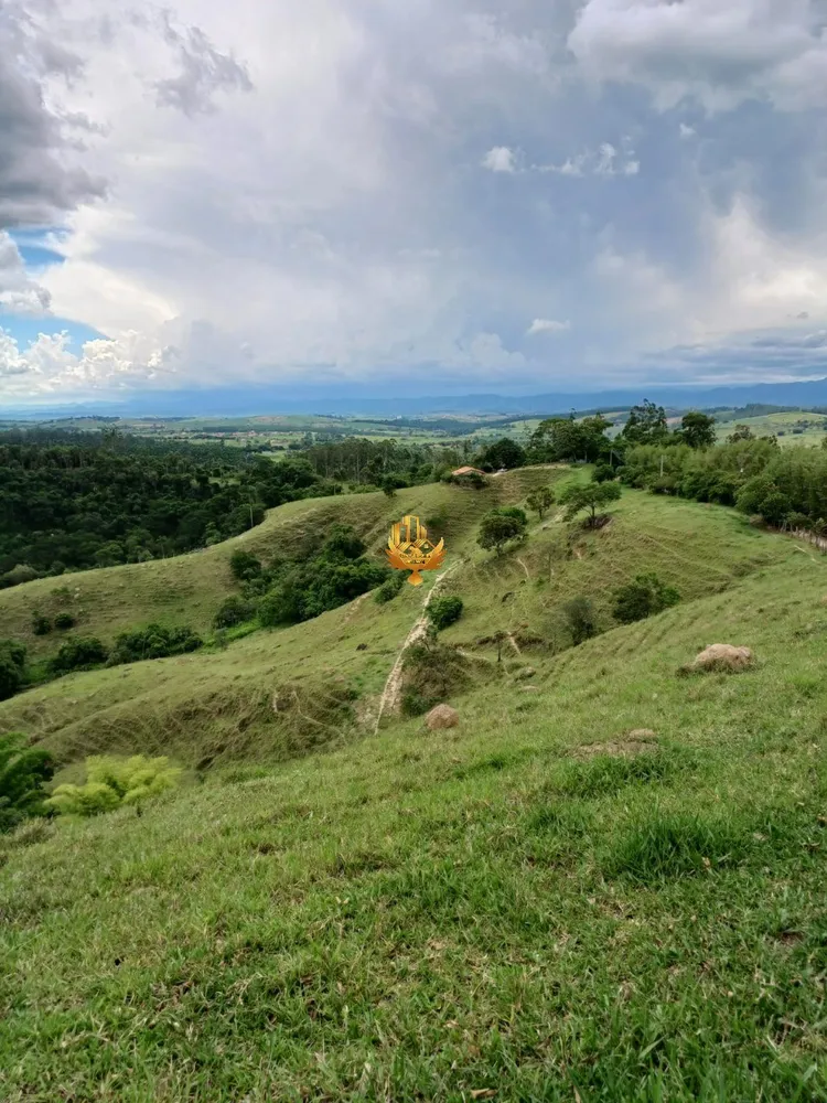 Fazenda, 48 hectares - Foto 6
