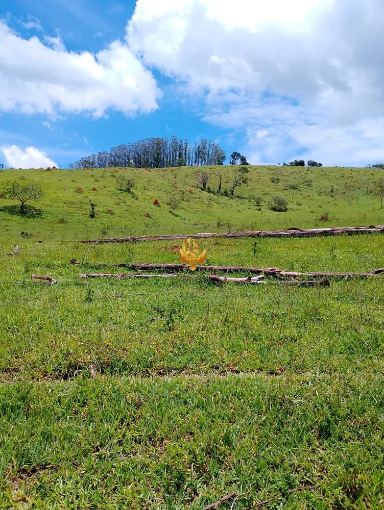 Terreno, 2500 m² - Foto 1