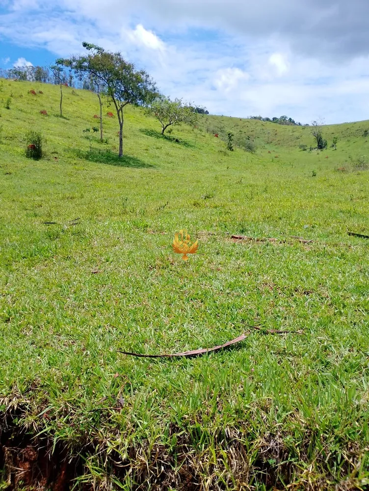 Terreno, 2500 m² - Foto 2