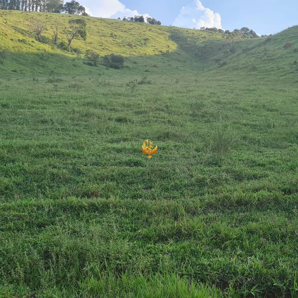 Terreno, 2500 m² - Foto 7