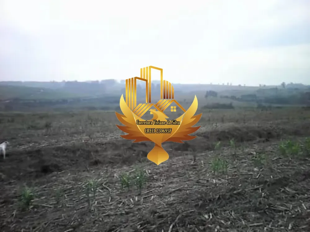 Terreno, 105 hectares - Foto 4