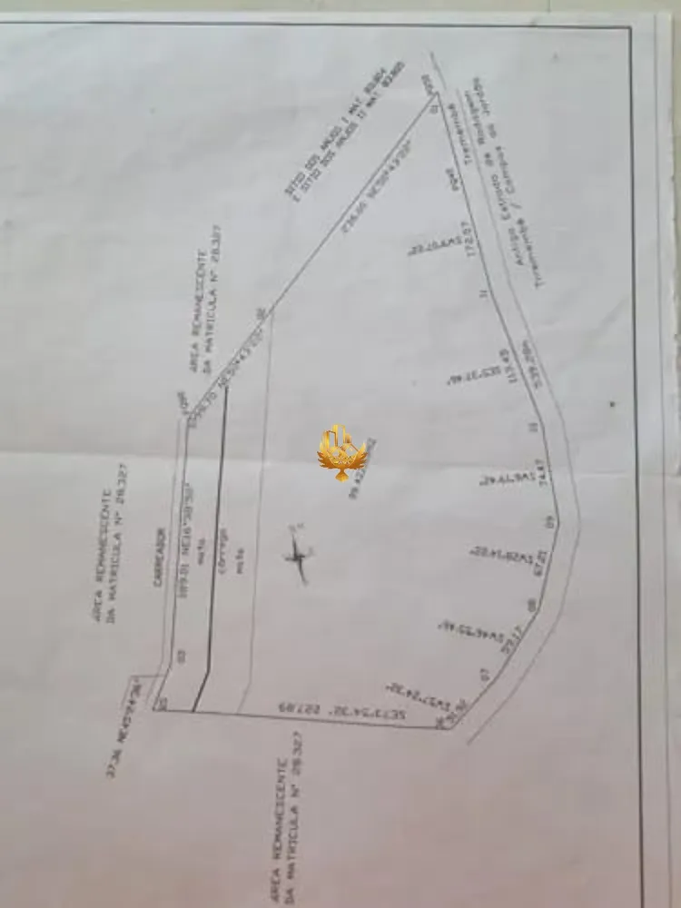 Terreno, 9942 hectares - Foto 2
