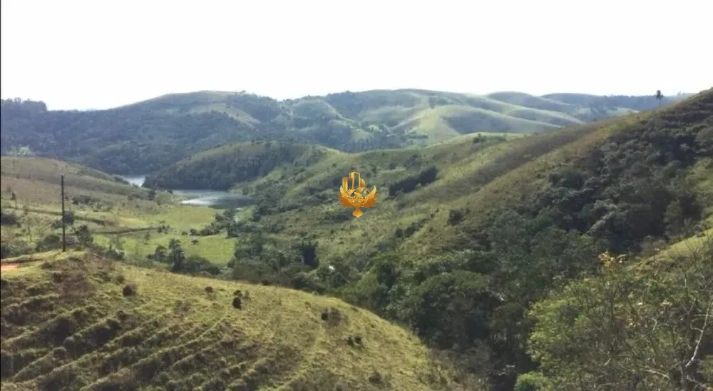 Fazenda, 92 hectares - Foto 4