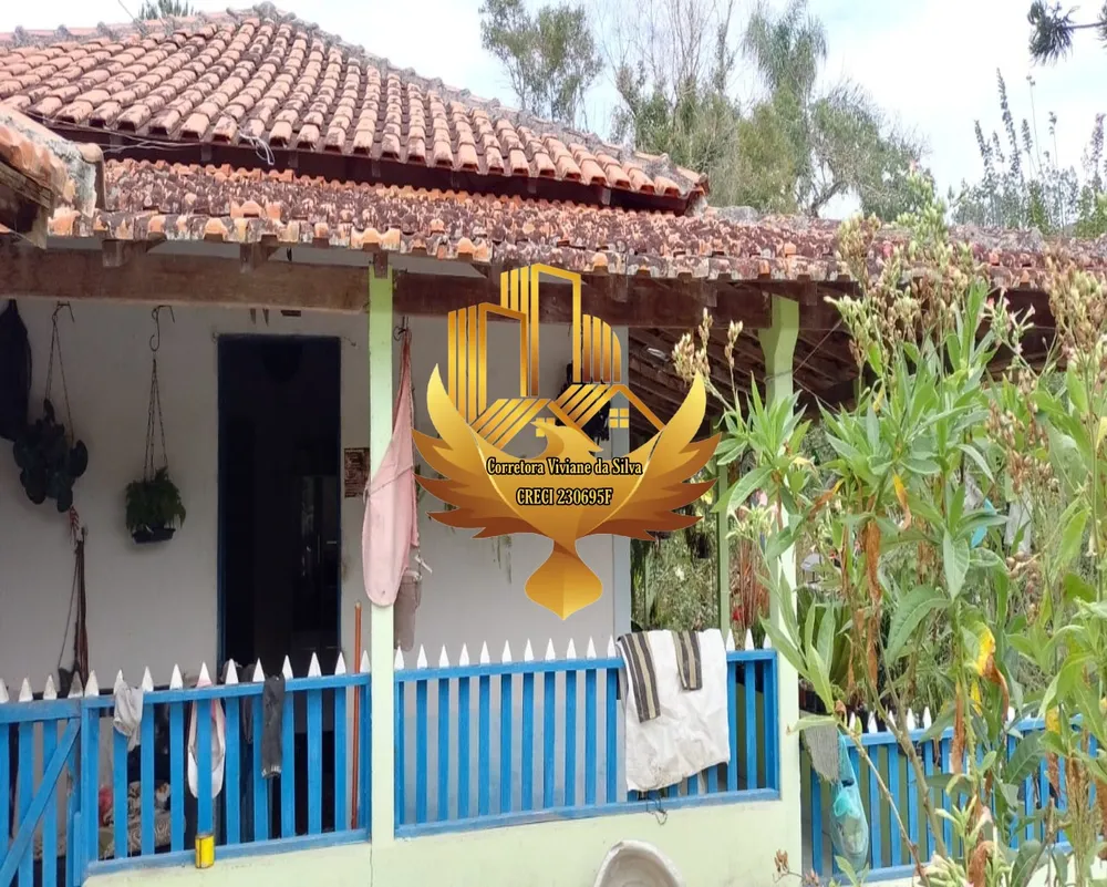 Sítio, 3 quartos, 33 hectares - Foto 4