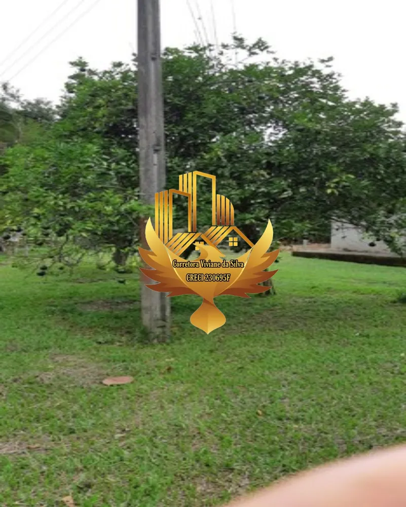 Fazenda, 121 hectares - Foto 11
