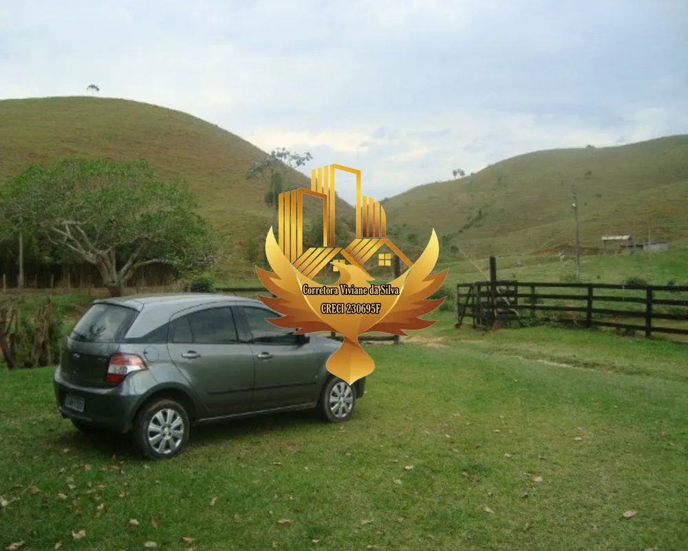 Fazenda, 121 hectares - Foto 6