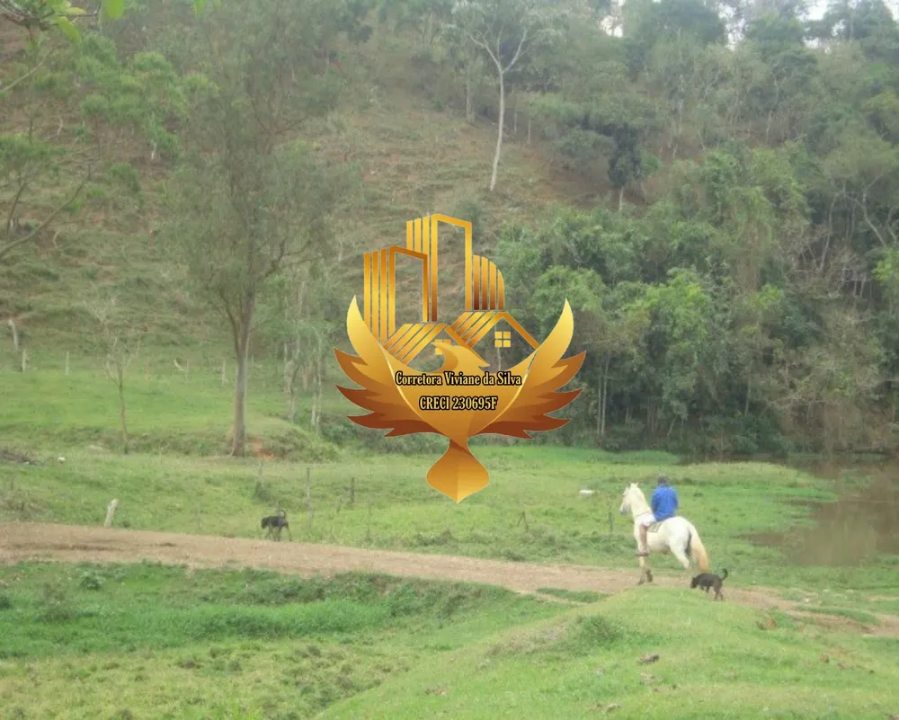 Fazenda, 121 hectares - Foto 4