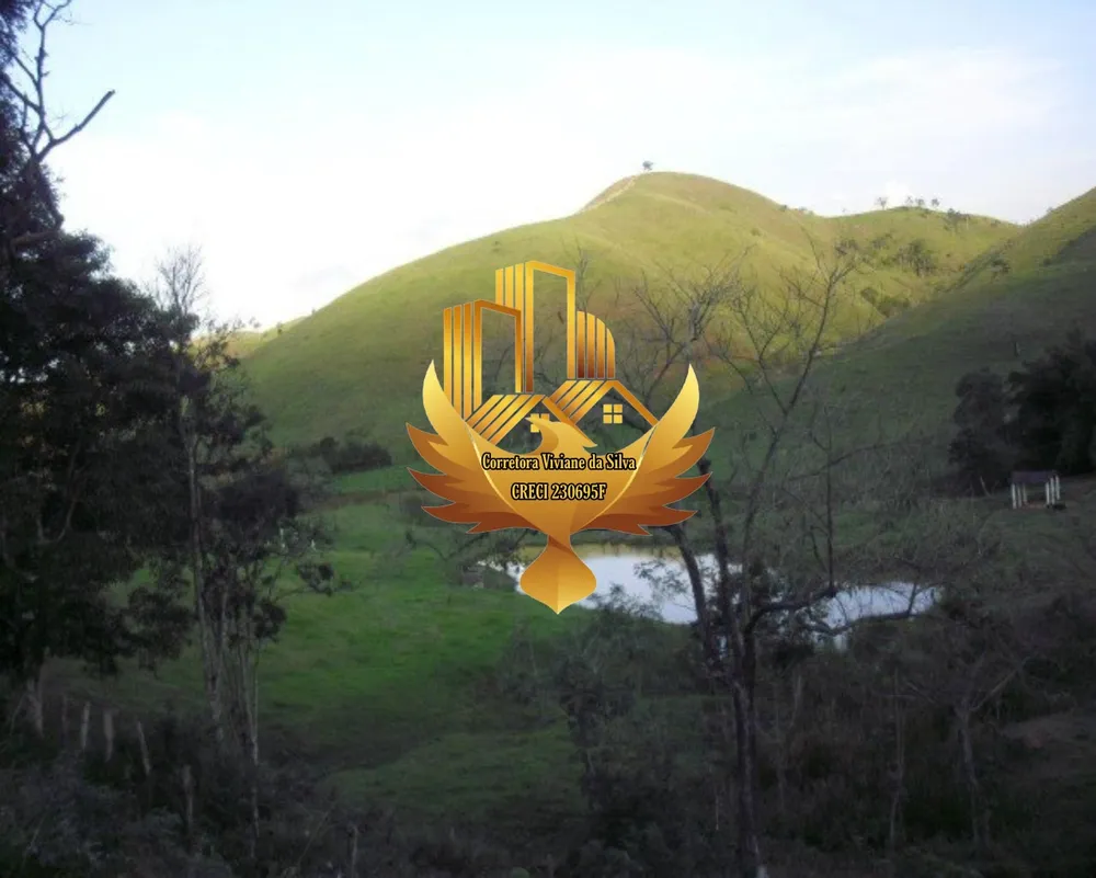 Fazenda, 121 hectares - Foto 8