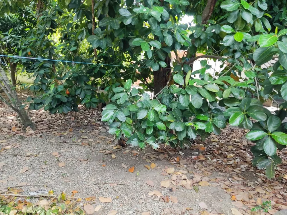 Terreno, 360 m² - Foto 18