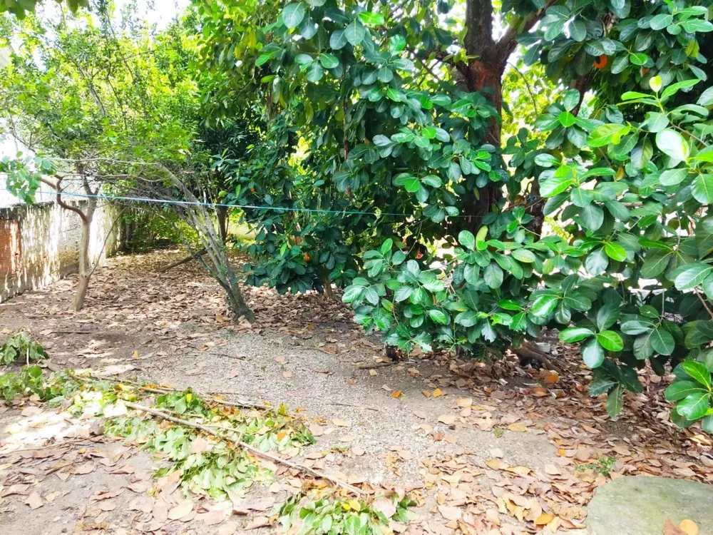 Terreno, 360 m² - Foto 7