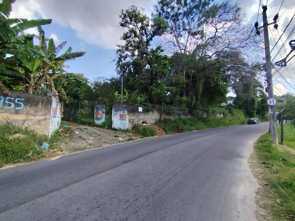 Terreno, 3 hectares - Foto 6